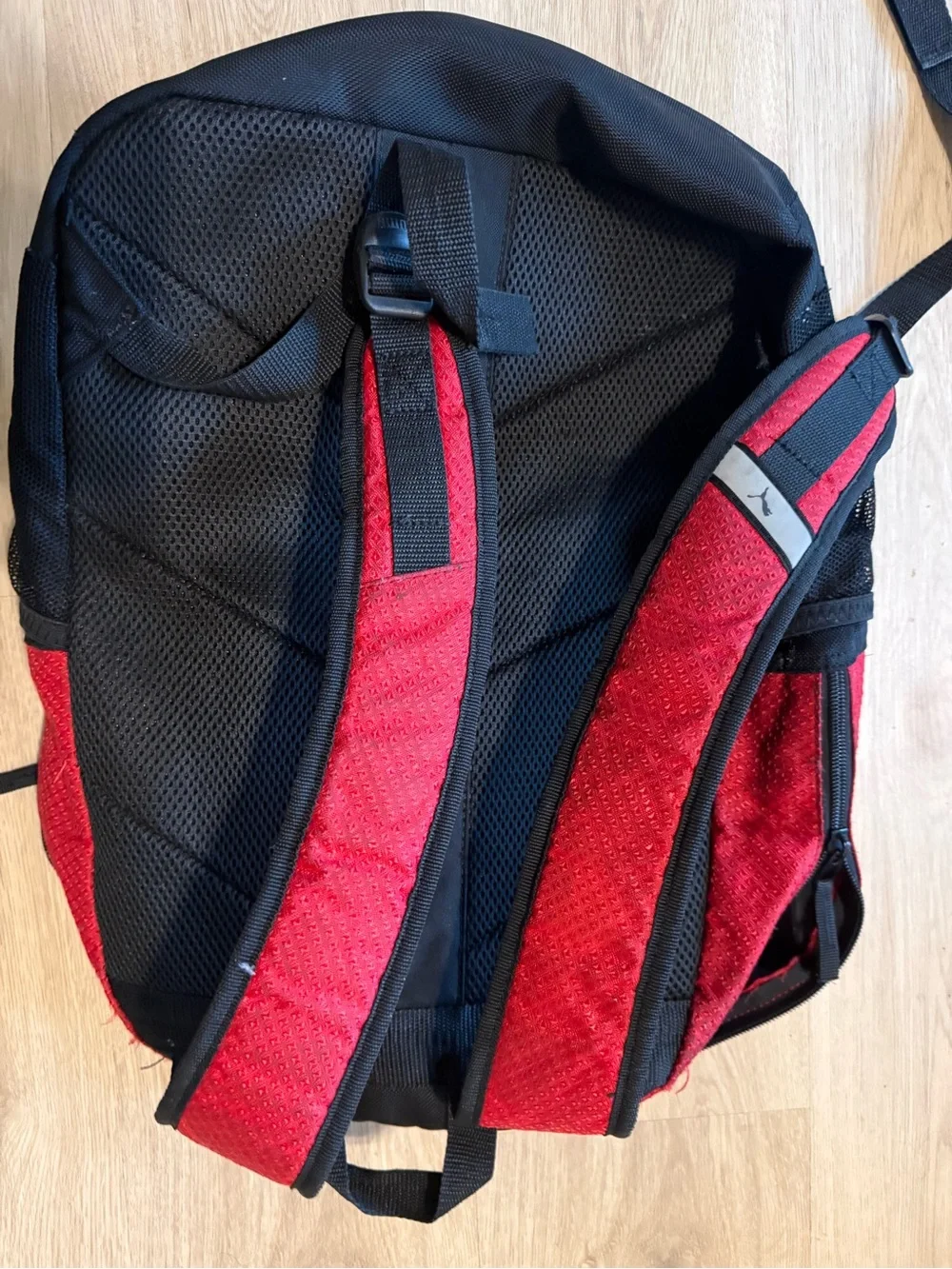 Puma style organized
